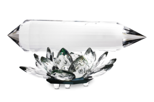 Kurs tachionoterapii ogólnej i fantomowej