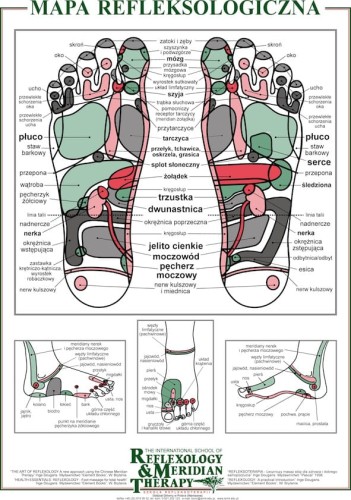 Mapa refleksologiczna stóp